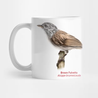 Brown fulvetta | Alcippe brunneicauda Mug